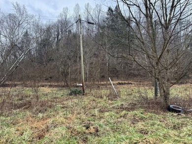 Spencer WV, 7.37 acre mostly wooded land at the confluence of - photo 3