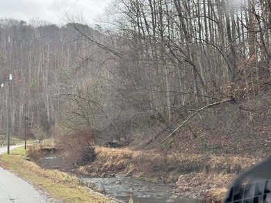 Spencer WV, 7.37 acre mostly wooded land at the confluence of - photo 7