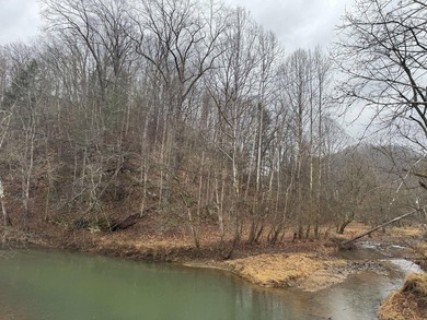 Spencer WV, 7.37 acre mostly wooded land at the confluence of - photo 8