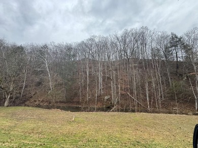 Spencer WV, 7.37 acre mostly wooded land at the confluence of - photo 9