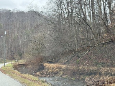 Spencer WV, 7.37 acre mostly wooded land at the confluence of - photo 10