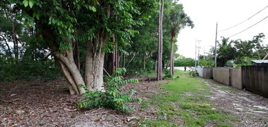 Exceptional development opportunity in Palm Beach County! This 1 - photo 3