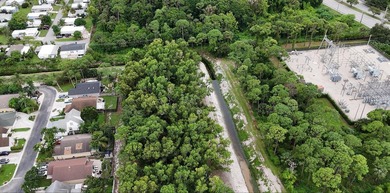 Exceptional development opportunity in Palm Beach County! This 1 - photo 6