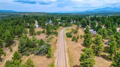 Lake Forest Lot For Sale in Pagosa Springs Colorado