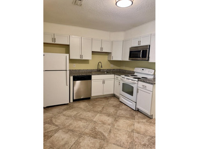 Renovated Condo in Riverway at Aichele Terrace!Welcome to 1910 - photo 4