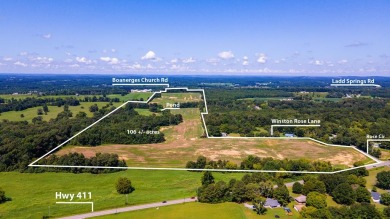 Lake Tholocco Acreage For Sale in Fort Rucker Alabama