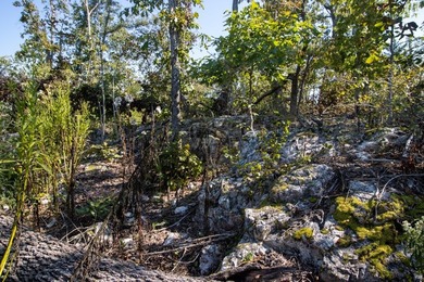 3.9 Acres Overlooking the White River Perched high above the - photo 5