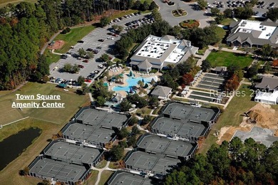 Welcome to 30 Fenwick Dr, a stunning Longleaf model nestled in - photo 58