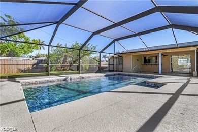 Recently remodeled pool home featuring a split-bedroom layout - photo 1