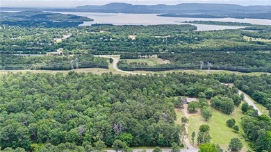 Lake Dardanelle Commercial For Sale in London Arkansas