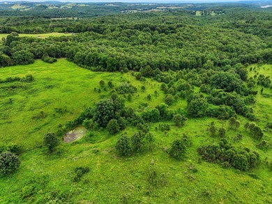 Discover the perfect blend of open pasture, mature timber, and - photo 1