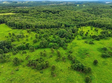 Discover the perfect blend of open pasture, mature timber, and - photo 4