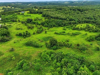 Discover the perfect blend of open pasture, mature timber, and - photo 8