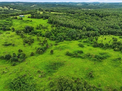 Discover the perfect blend of open pasture, mature timber, and - photo 9