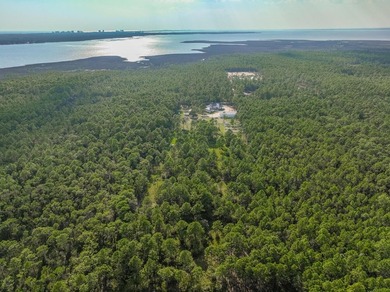OMG! Nothing like this on the market. Cutest farmhouse this side - photo 20
