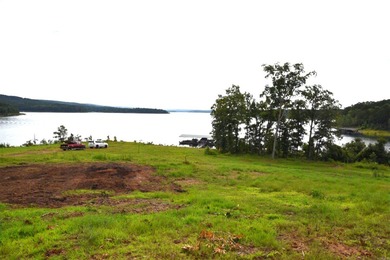 Don't miss this rare opportunity to own a premium lakeview lot - photo 4