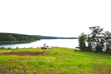 Don't miss this rare opportunity to own a premium lakeview lot - photo 5