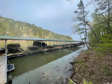 Don't miss this rare opportunity to own a premium lakeview lot - photo 7