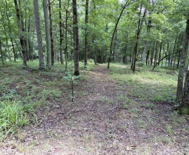 Smith Lake - Spanning a total of 5.5+/- acres, this Rock Creek - photo 8