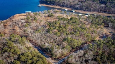 Don't miss this rare opportunity to own a premium lakeview lot - photo 9