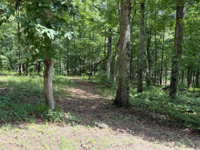 Smith Lake - Spanning a total of 5.5+/- acres, this Rock Creek - photo 9