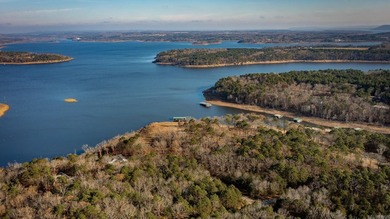 Don't miss this rare opportunity to own a premium lakeview lot - photo 10