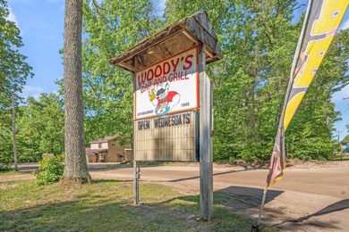 Woodland Lake - Newaygo County Commercial For Sale in Bitely Michigan
