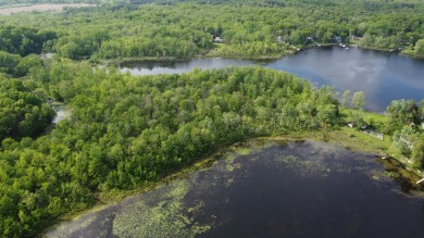 Lake Acreage For Sale in Tipton, Michigan