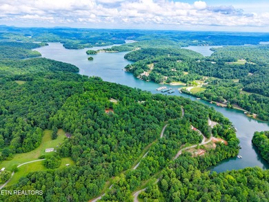 Norris Lake Lot For Sale in Lafollette Tennessee