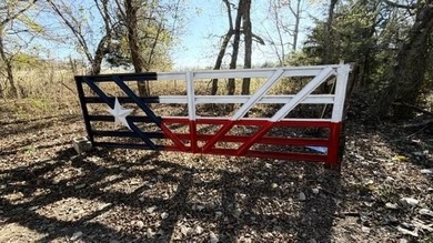 Lake Acreage For Sale in Honey Grove, Texas