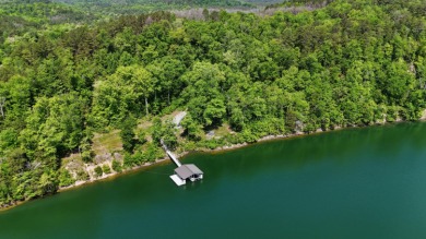 This 2.62-acre property on Brushy Creek stands out immediately - photo 5