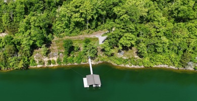This 2.62-acre property on Brushy Creek stands out immediately - photo 6