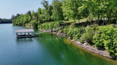 This 2.62-acre property on Brushy Creek stands out immediately - photo 7