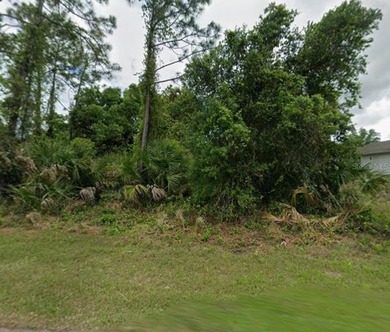 BUILD YOUR FLORIDA DREAM HOME IN NORTH PORT! Discover the - photo 3