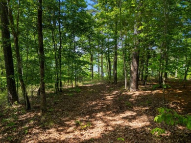 Smith Lake -Rock Creek This beautiful lot  features stunning - photo 6