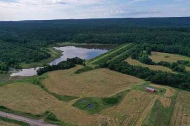 Lake Acreage For Sale in Waldron, Arkansas
