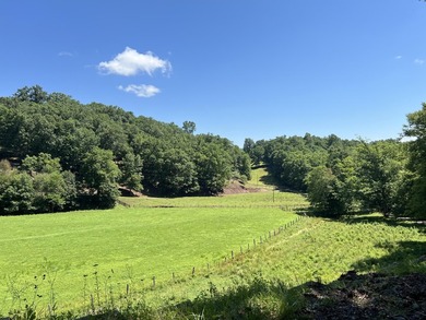 Welcome to the country! This beautiful well-maintained farm has - photo 5