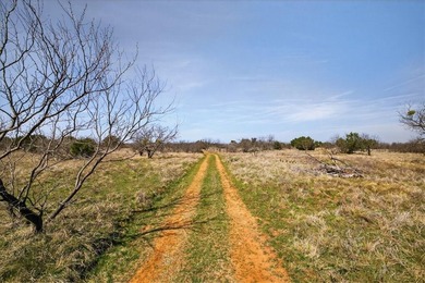 731+/- Acre North Texas Ranch Near Possum Kingdom Lake Located - photo 11