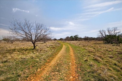 731+/- Acre North Texas Ranch Near Possum Kingdom Lake Located - photo 13