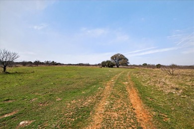 731+/- Acre North Texas Ranch Near Possum Kingdom Lake Located - photo 15