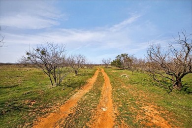 731+/- Acre North Texas Ranch Near Possum Kingdom Lake Located - photo 18