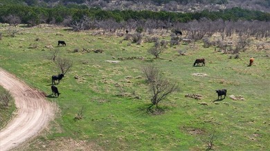 731+/- Acre North Texas Ranch Near Possum Kingdom Lake Located - photo 28