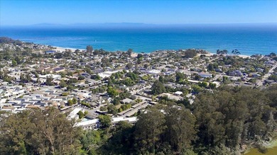 Beautifully refreshed and move-in ready Santa Cruz condo near - photo 30