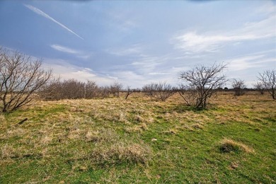 731+/- Acre North Texas Ranch Near Possum Kingdom Lake Located - photo 39