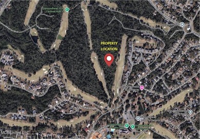 12.46 Acre prime development site available. Zoned R-2 (Medium - photo 3