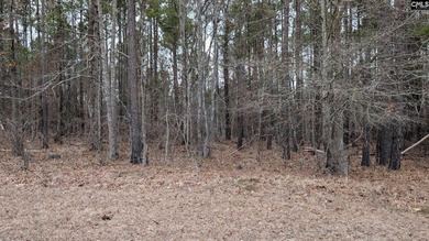 A fantastic two acre building lot located inside Lake Wateree's - photo 2