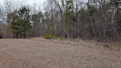 A fantastic two acre building lot located inside Lake Wateree's - photo 3