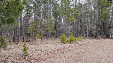 A fantastic two acre building lot located inside Lake Wateree's - photo 5