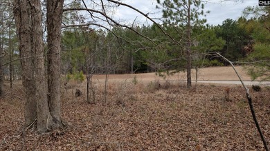 A fantastic two acre building lot located inside Lake Wateree's - photo 8
