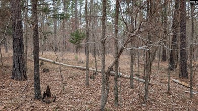 A fantastic two acre building lot located inside Lake Wateree's - photo 9